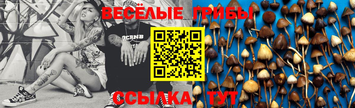 Орёл  Галлюциногенные грибы ЛСД  Вход с VPN 